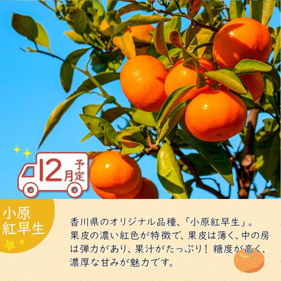 【ふるさと納税】冬のいいとこどり定期便 【12月・1月・2月】全3回 サムネイル2