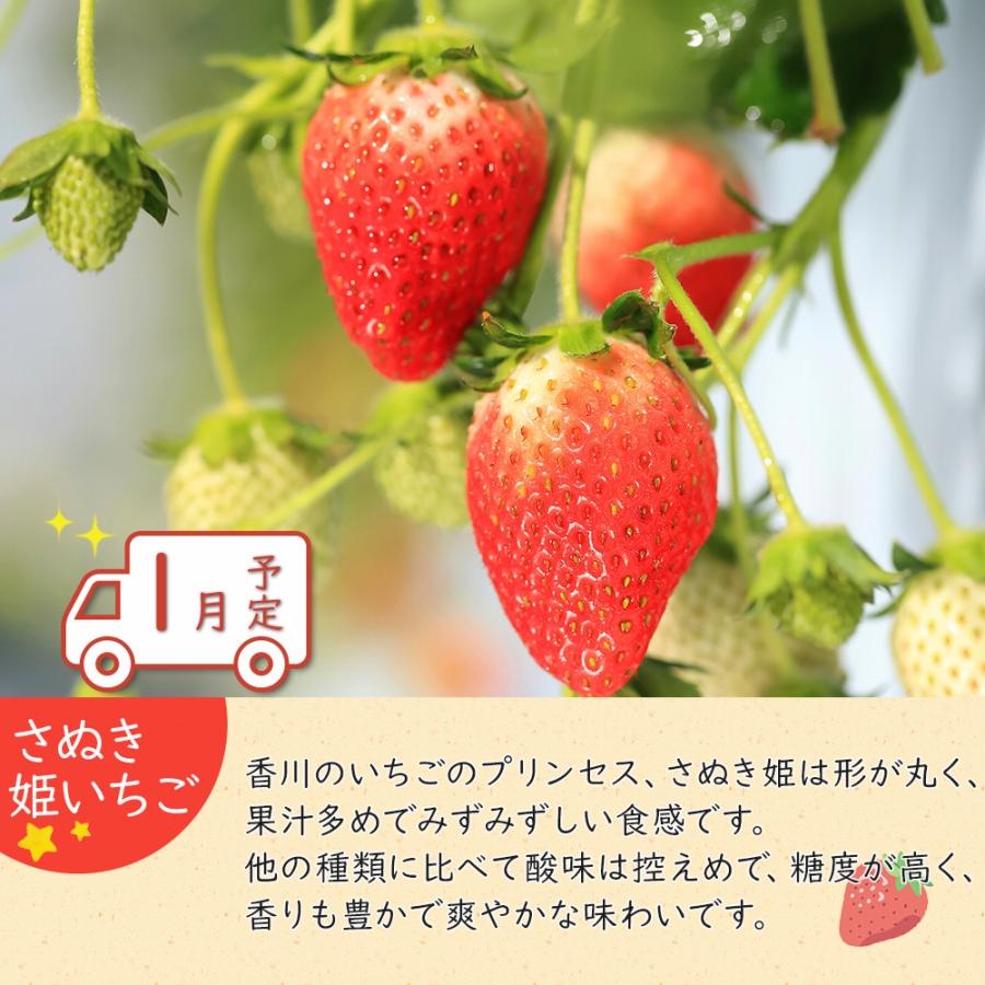 【ふるさと納税】冬のいいとこどり定期便 【12月・1月・2月】全3回 サムネイル3