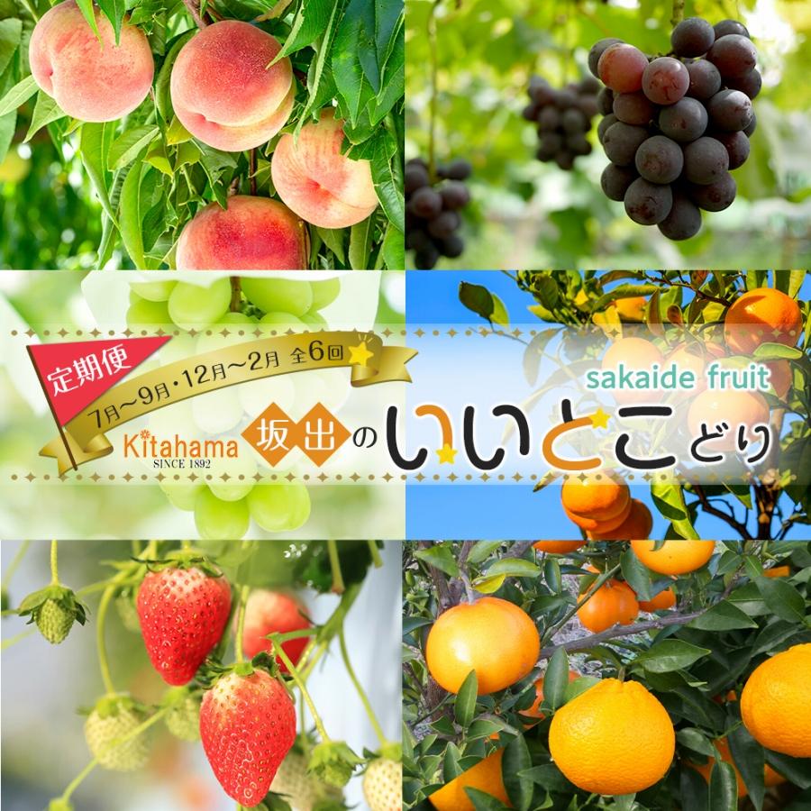 坂出のいいとこどり定期便 【7月・8月・9月・12月・1月・2月】 全6回