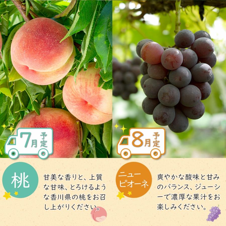 【ふるさと納税】坂出のいいとこどり定期便 【7月・8月・9月・12月・1月・2月】 全6回 サムネイル2