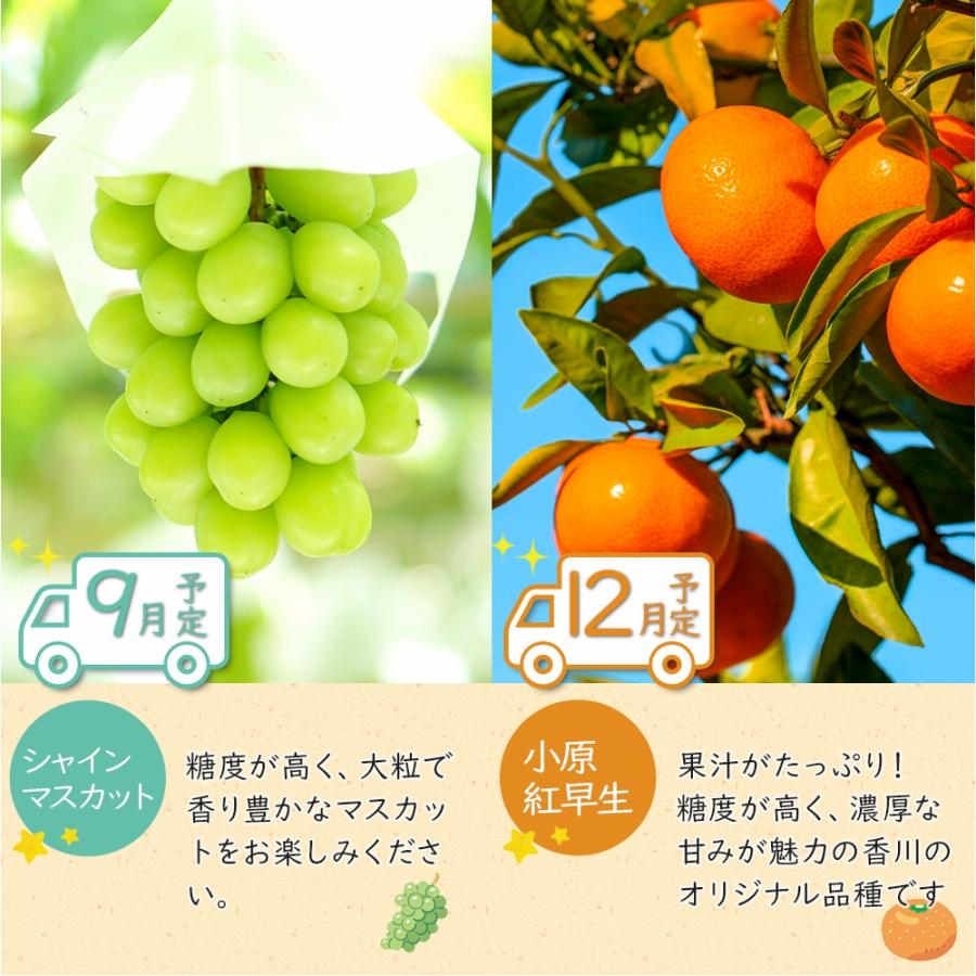 【ふるさと納税】坂出のいいとこどり定期便 【7月・8月・9月・12月・1月・2月】 全6回 サムネイル3