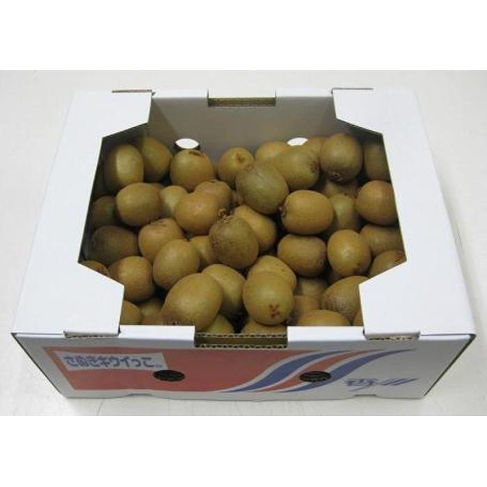 【ふるさと納税】さぬきキウイっこ　香川県産　約2kg（40～80個入り） | 香川県 坂出市 香川 四国 楽天ふるさと 納税 返礼品 支援 お礼の品 お取り寄せグルメ 取り寄せ グルメ 食品 フルーツ 果物 くだもの キウイ キュウイ 特産品 ご自宅用 家庭用 果実 お取り寄せ おいしい サムネイル2