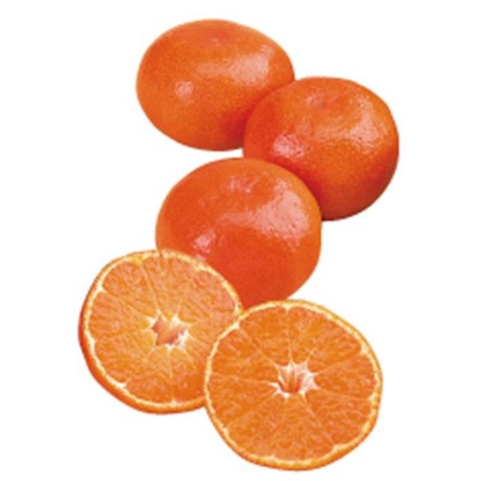 【ふるさと納税】＜2025年12月発送＞坂出ふれあい産直市の小原紅早生 約5kg（箱） | フルーツ 果物 くだもの 食品 人気 おすすめ 送料無料 サムネイル3