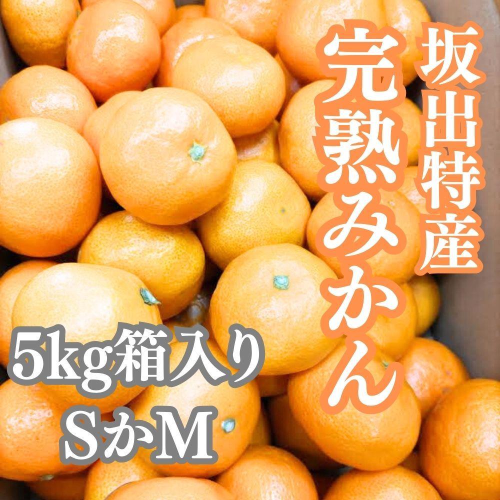 坂出特産みかん 約5kg入り（SまたはMサイズ） | フルーツ 果物 くだもの 食品 人気 おすすめ 送料無料