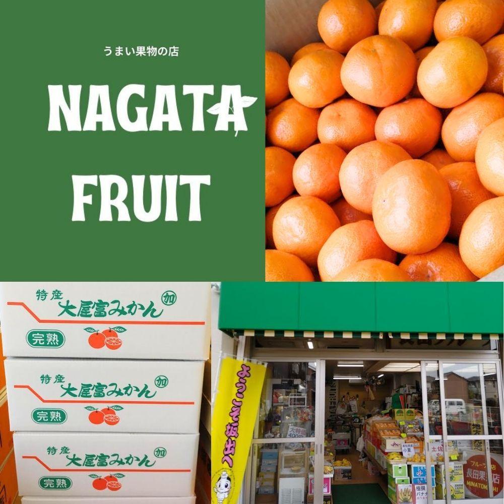 【ふるさと納税】坂出特産みかん 約5kg入り（SまたはMサイズ） | フルーツ 果物 くだもの 食品 人気 おすすめ 送料無料 サムネイル3