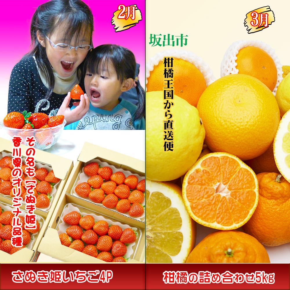 【ふるさと納税】坂出産のフルーツとさぬきの特産品の定期便5回【Bコース】 | 香川県 坂出市 香川 四国 楽天ふるさと 納税 返礼品 支援 お取り寄せグルメ 取り寄せ グルメ 食品 フルーツ 果物 くだもの 国産 セット 定期 定期便 お取り寄せ ご当地 讃岐 ご当地グルメ 自宅用 サムネイル2