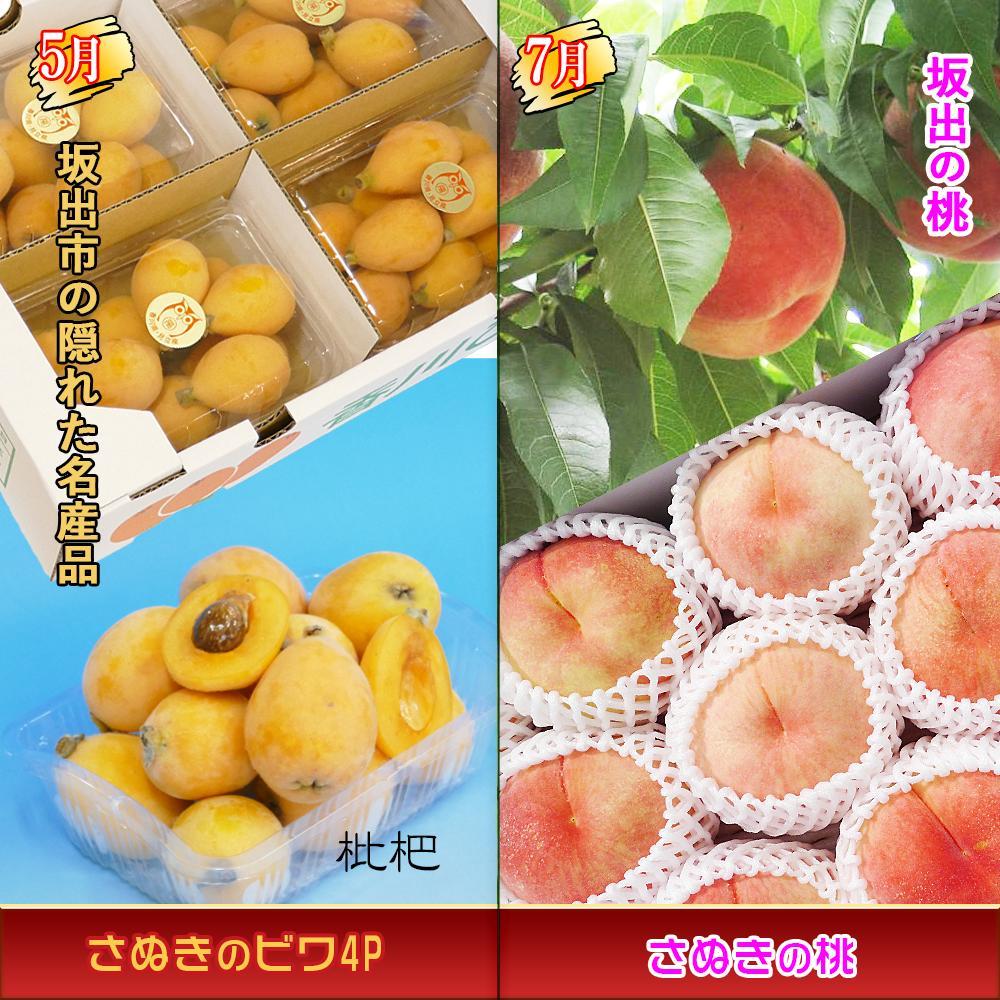 【ふるさと納税】坂出産のフルーツとさぬきの特産品の定期便5回【Cコース】 | 香川県 坂出市 香川 四国 楽天ふるさと 納税 返礼品 支援 お取り寄せグルメ 取り寄せ グルメ 食品 フルーツ 果物 くだもの 国産 セット 定期 定期便 お取り寄せ ご当地 讃岐 ご当地グルメ 自宅用 サムネイル2