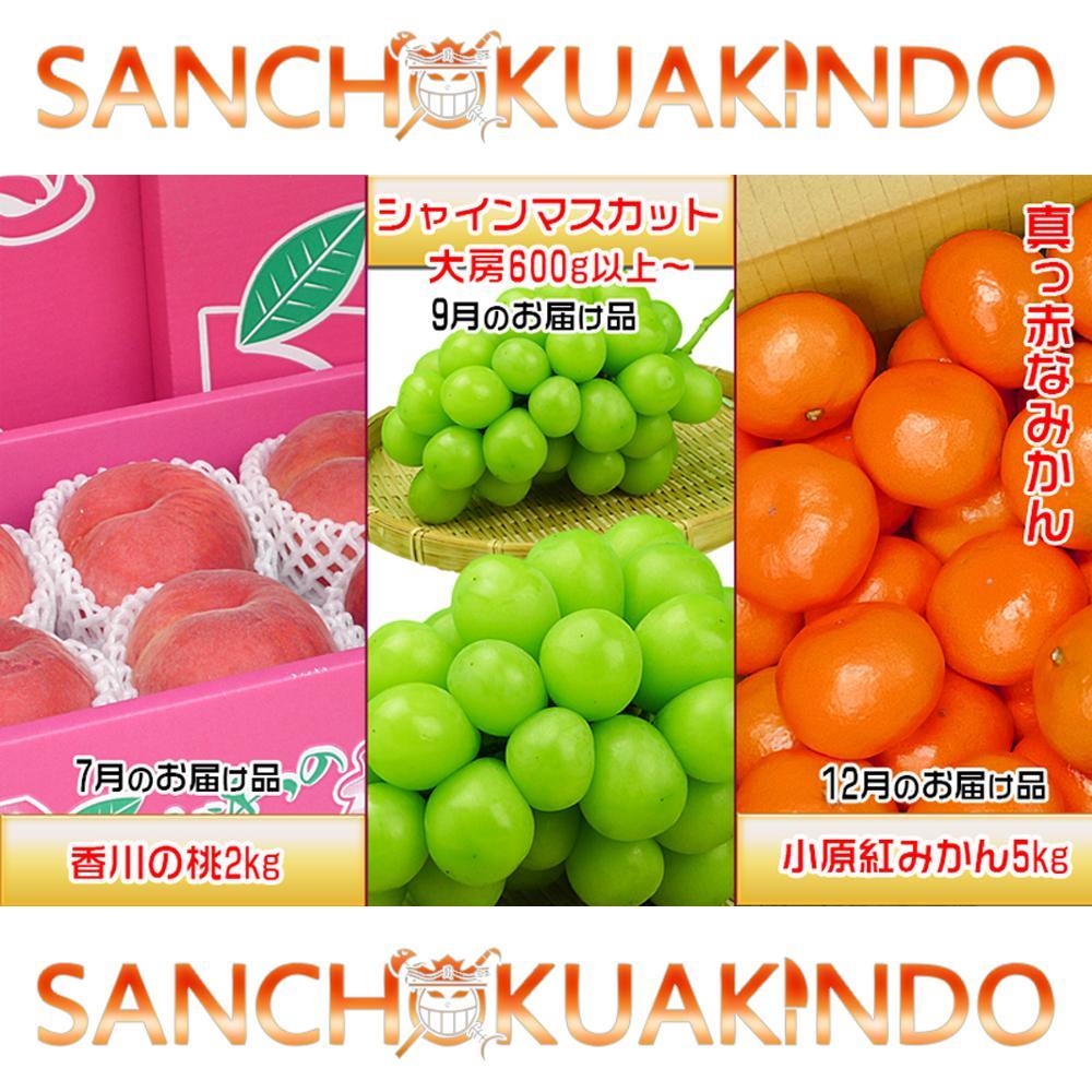 【ふるさと納税】【定期便3回Dコース】 フルーツ セット 定期便 ( 桃 約2kg & シャインマスカット 1房 約600g以上 & みかん 5kg × 3ヶ月 ) ｜産直あきんど 坂出産 創業100年 | フルーツ 果物 くだもの 食品 人気 おすすめ 送料無料 お楽しみ サムネイル2
