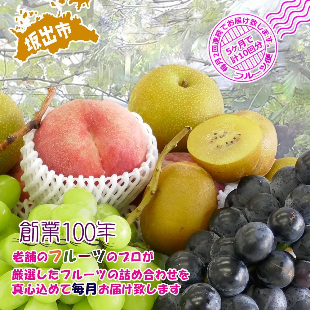【ふるさと納税】【定期便10回】創業100年 産直あきんど四季のフルーツの定期便《月2回×5ヶ月連続でお届け》 | 香川県 坂出市 香川 四国 楽天ふるさと 納税 返礼品 支援 お取り寄せグルメ 取り寄せ グルメ 食品 フルーツ 果物 くだもの フルーツ定期便 詰め合わせ 国産 サムネイル2