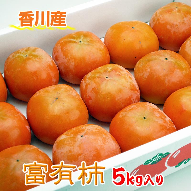 【ふるさと納税】一度は食べたい香川産の完熟富有柿の詰め合わせ約5kg | 香川県 坂出市 香川 四国 楽天ふるさと 納税 返礼品 お取り寄せグルメ 取り寄せ グルメ 食品 フルーツ 果物 くだもの 柿 カキ かき 富有柿 自宅用 家庭用 お取り寄せ 特産品 ご当地 おいしい 美味しい サムネイル2