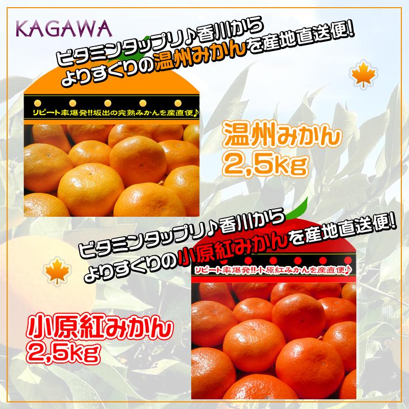 【ふるさと納税】≪先行受注≫小原紅早生 & 完熟温州 セット 約5kg ( 小原紅早生みかん約2.5kg & 完熟温州みかん約2.5kg ) S ～ Lサイズ ｜ みかん | フルーツ 果物 くだもの 食品 人気 おすすめ 送料無料 サムネイル2