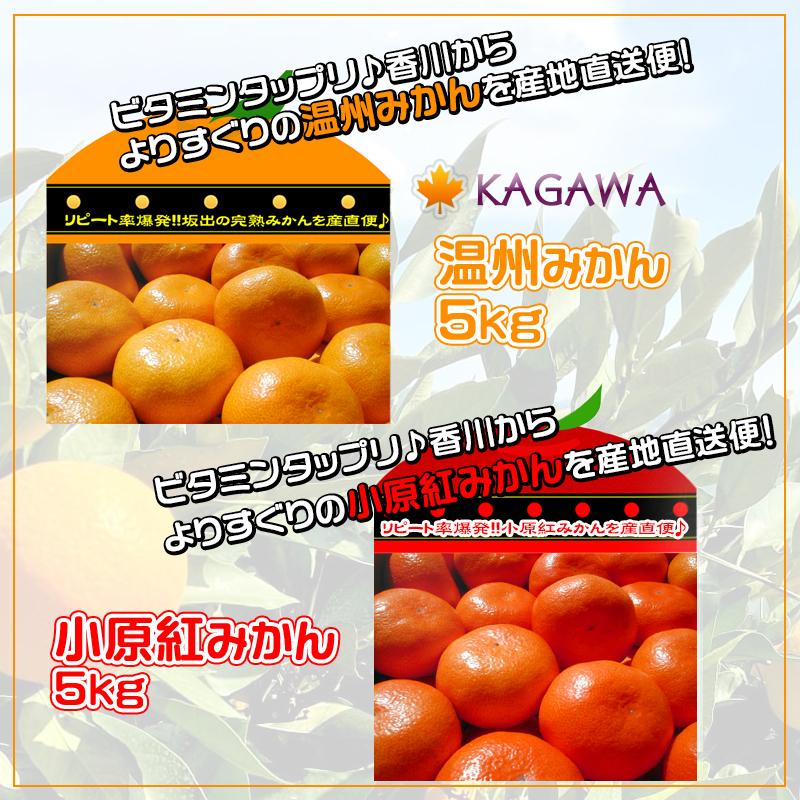 【ふるさと納税】≪先行受注≫小原紅早生 & 完熟温州 セット 約10kg ( 小原紅早生みかん約5kg & 完熟温州みかん約5kg ) S ～ Lサイズ ｜ みかん | フルーツ 果物 くだもの 食品 人気 おすすめ 送料無料 サムネイル2