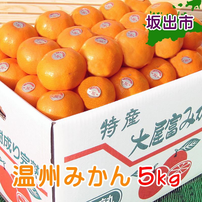 ≪先行受注≫温州みかん 香川産 約5kg ( S ～ Lサイズ ) ｜ みかん 味濃い | フルーツ 果物 くだもの 食品 人気 おすすめ 送料無料