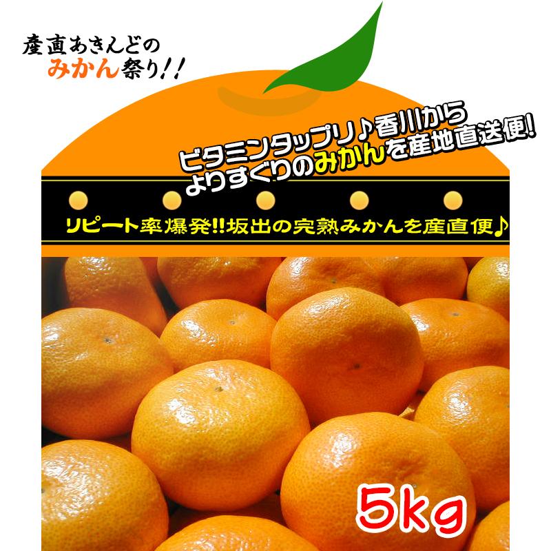 【ふるさと納税】≪先行受注≫温州みかん 香川産 約5kg ( S ～ Lサイズ ) ｜ みかん 味濃い | フルーツ 果物 くだもの 食品 人気 おすすめ 送料無料 サムネイル2