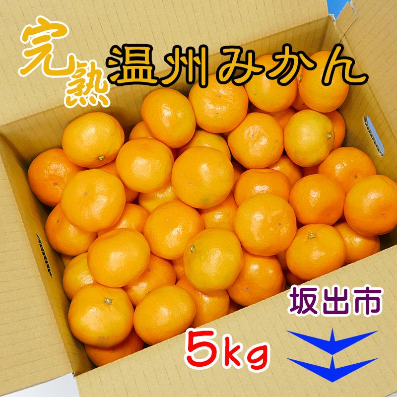 【ふるさと納税】≪先行受注≫温州みかん 香川産 約5kg ( S ～ Lサイズ ) ｜ みかん 味濃い | フルーツ 果物 くだもの 食品 人気 おすすめ 送料無料 サムネイル3