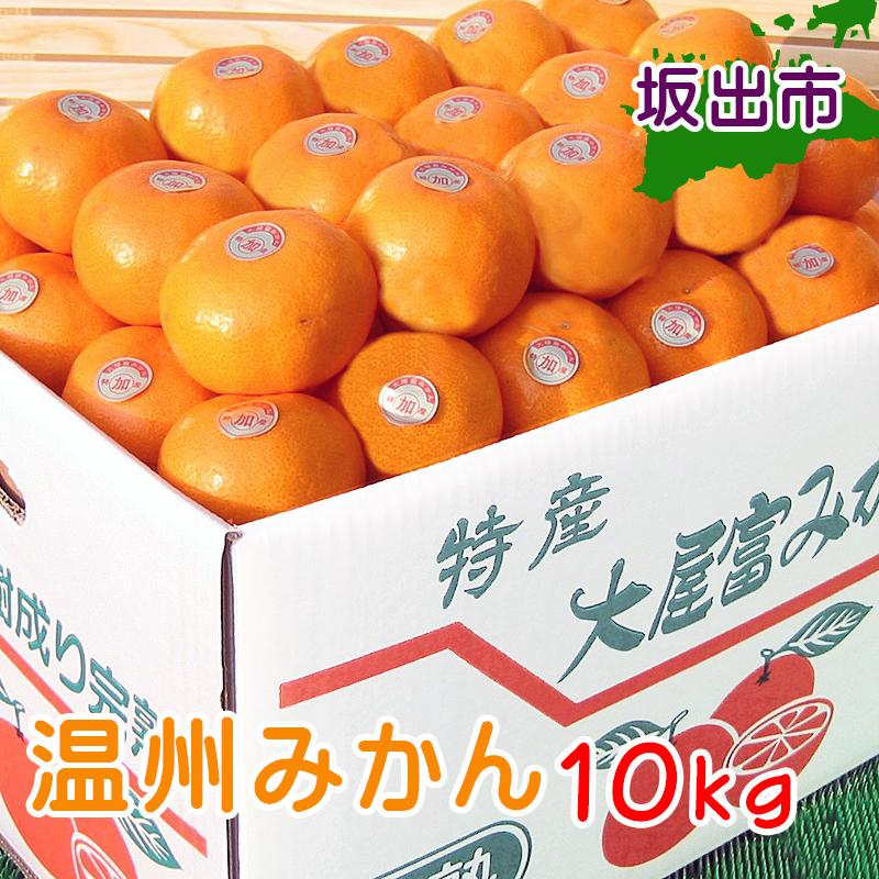 ≪先行受注≫温州みかん 香川産 約10kg ( S ～ Lサイズ ) ｜ みかん 味濃い | フルーツ 果物 くだもの 食品 人気 おすすめ 送料無料
