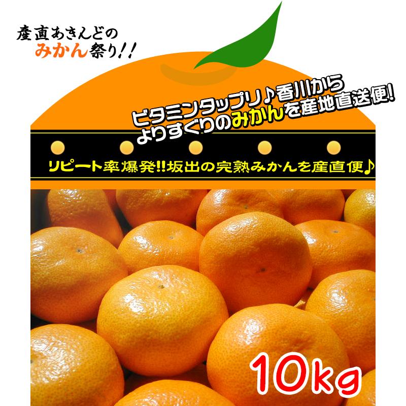 【ふるさと納税】≪先行受注≫温州みかん 香川産 約10kg ( S ～ Lサイズ ) ｜ みかん 味濃い | フルーツ 果物 くだもの 食品 人気 おすすめ 送料無料 サムネイル2