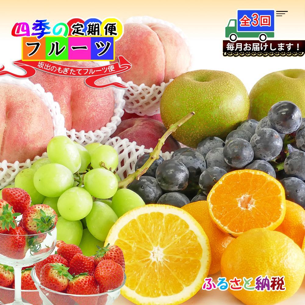 【定期便3回】創業100年 産直あきんど四季のフルーツの定期便《3ヶ月連続でお届け》 | 香川県 坂出市 四国 フルーツ 定期便 果物 くだもの 季節のフルーツ 果物詰め合わせ 旬の果物 産地直送 フルーツ詰め合わせ お取り寄せ 盛り合わせ 自宅用 家庭用 甘い