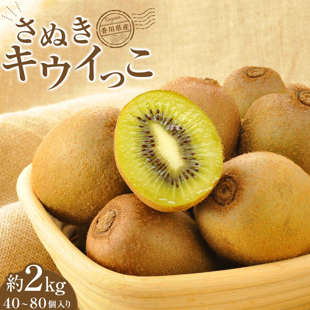さぬきキウイっこ　香川県産　約2kg（40～80個入り） | 香川県 坂出市 香川 四国 楽天ふるさと 納税 返礼品 支援 お礼の品 お取り寄せグルメ 取り寄せ グルメ 食品 フルーツ 果物 くだもの キウイ キュウイ 特産品 ご自宅用 家庭用 果実 お取り寄せ おいしい