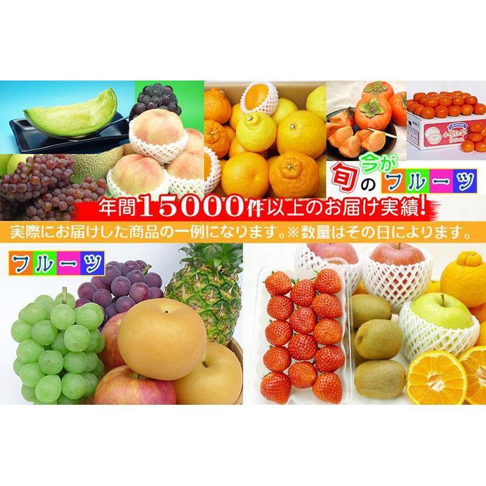 【ふるさと納税】【お歳暮ギフト】＜産直あきんど＞厳選フルーツの詰め合わせ サムネイル3