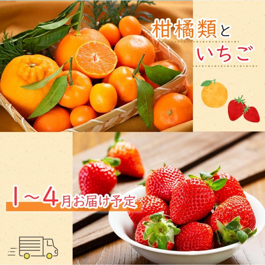 【ふるさと納税】【お歳暮ギフト/化粧箱・熨斗対応】旬を見極めた厳選フルーツ詰め合わせ 【半月セット】（3～5品種） サムネイル2