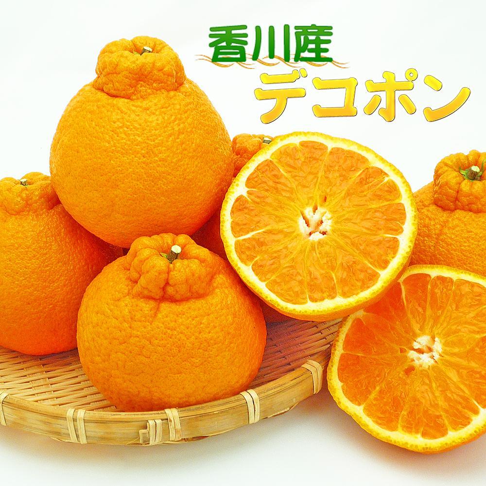 香川のあま～いデコポン［不知火］3kgの詰め合わせ | 香川県 坂出市 香川 四国 楽天ふるさと 納税 返礼品 お取り寄せグルメ 取り寄せ グルメ 食品 フルーツ 果物 くだもの 柑橘 柑橘類 かんきつ類 かんきつ デコポン でこぽん ご自宅用 家庭用 お取り寄せ