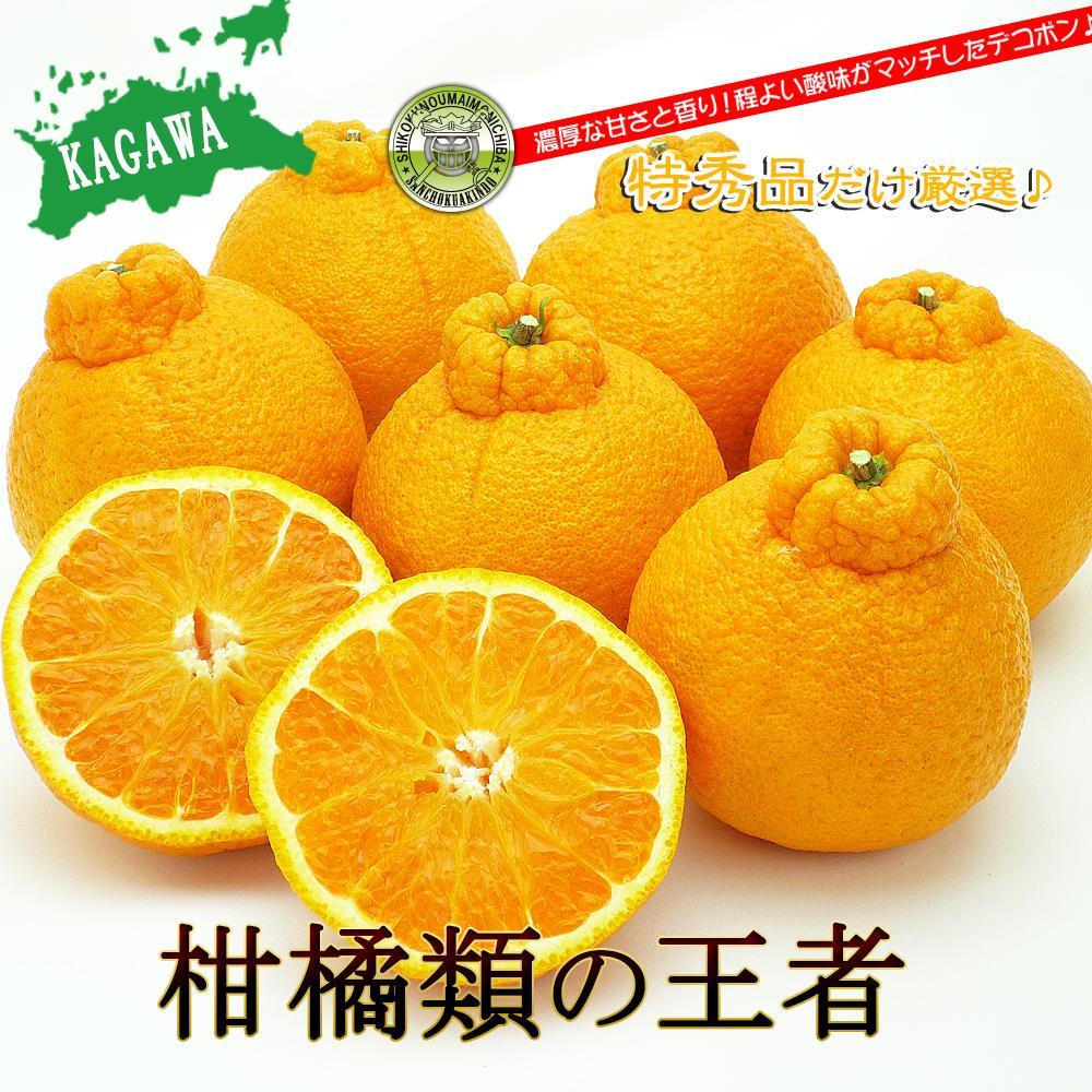 【ふるさと納税】香川のあま～いデコポン［不知火］3kgの詰め合わせ | 香川県 坂出市 香川 四国 楽天ふるさと 納税 返礼品 お取り寄せグルメ 取り寄せ グルメ 食品 フルーツ 果物 くだもの 柑橘 柑橘類 かんきつ類 かんきつ デコポン でこぽん ご自宅用 家庭用 お取り寄せ サムネイル2