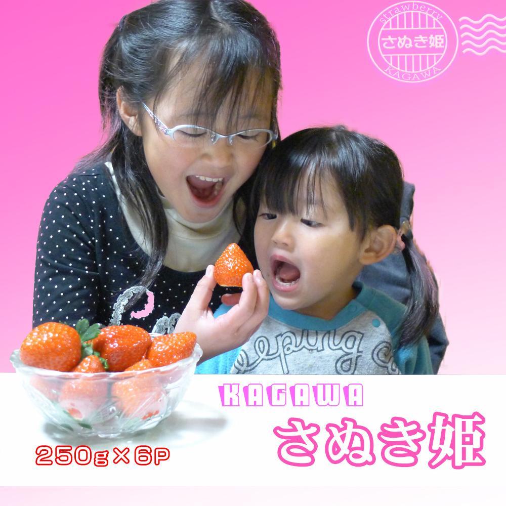 香川県オリジナル品種！さぬき姫いちご6パック | 香川県 坂出市 香川 四国 楽天ふるさと 納税 返礼品 支援 お取り寄せグルメ 取り寄せ グルメ 食品 フルーツ 果物 くだもの いちご イチゴ 苺 ご自宅用 家庭用 お取り寄せ 特産品 ご当地 おいしい 美味しい