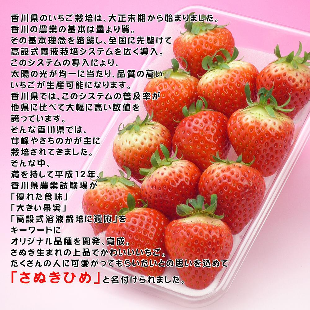 【ふるさと納税】香川県オリジナル品種！さぬき姫いちご4パック | 香川県 坂出市 香川 四国 楽天ふるさと 納税 返礼品 支援 お取り寄せグルメ 取り寄せ グルメ 食品 フルーツ 果物 くだもの いちご イチゴ 苺 ご自宅用 家庭用 お取り寄せ 特産品 ご当地 おいしい 美味しい サムネイル2