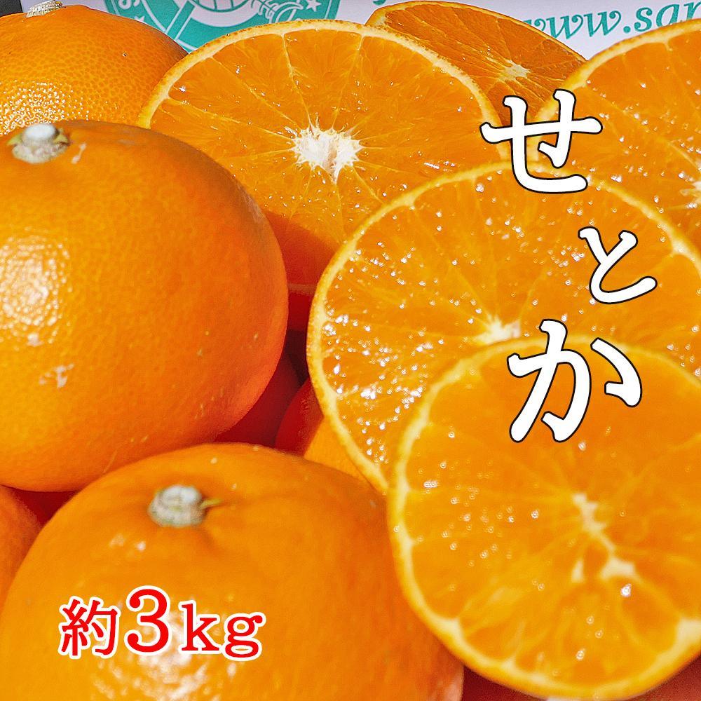 ＜果汁たっぷりコクのある甘みが自慢＞せとか3kg詰め合わせ | 香川県 坂出市 香川 四国 楽天ふるさと 納税 返礼品 お取り寄せグルメ 取り寄せ グルメ 食品 フルーツ 果物 くだもの 柑橘 柑橘類 かんきつ類 かんきつ ご自宅用 家庭用 お取り寄せ おいしい