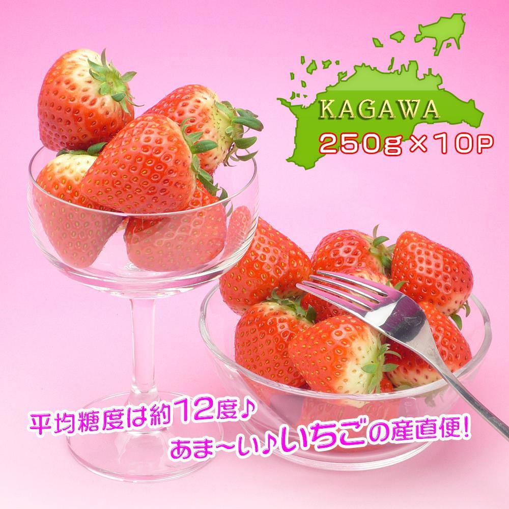 【ふるさと納税】香川県オリジナル品種！さぬき姫いちご10パック | 香川県 坂出市 香川 四国 楽天ふるさと 納税 返礼品 支援 お取り寄せグルメ 取り寄せ グルメ 食品 フルーツ 果物 くだもの いちご イチゴ 苺 ご自宅用 家庭用 お取り寄せ 特産品 ご当地 おいしい 美味しい サムネイル3