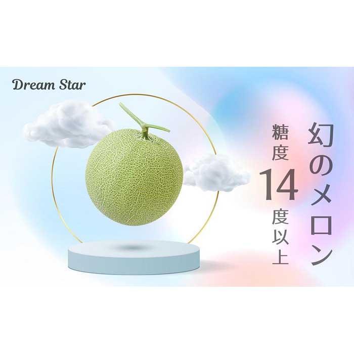 【2026年5月以降発送】さぬきメロン Dream Star 1.1kg以上｜メロン 糖度 14度以上 甘い フルーツ 果物 くだもの 特産 ふるさと 坂出市 香川 さぬき 食品 人気 おすすめ 送料無料 | メロン 甘い フルーツ 果物 くだもの 坂出市 食品 人気 おすすめ 送料無料