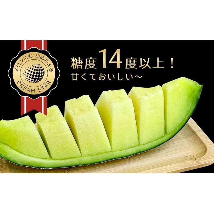 【ふるさと納税】【2026年5月以降発送】さぬきメロン Dream Star 1.1kg以上｜メロン 糖度 14度以上 甘い フルーツ 果物 くだもの 特産 ふるさと 坂出市 香川 さぬき 食品 人気 おすすめ 送料無料 | メロン 甘い フルーツ 果物 くだもの 坂出市 食品 人気 おすすめ 送料無料 サムネイル3