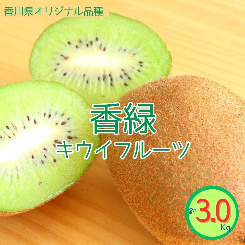 ＜先行受付　2025年発送＞香緑　キウイフルーツ 約3.0kg | フルーツ 果物 くだもの 食品 人気 おすすめ 送料無料