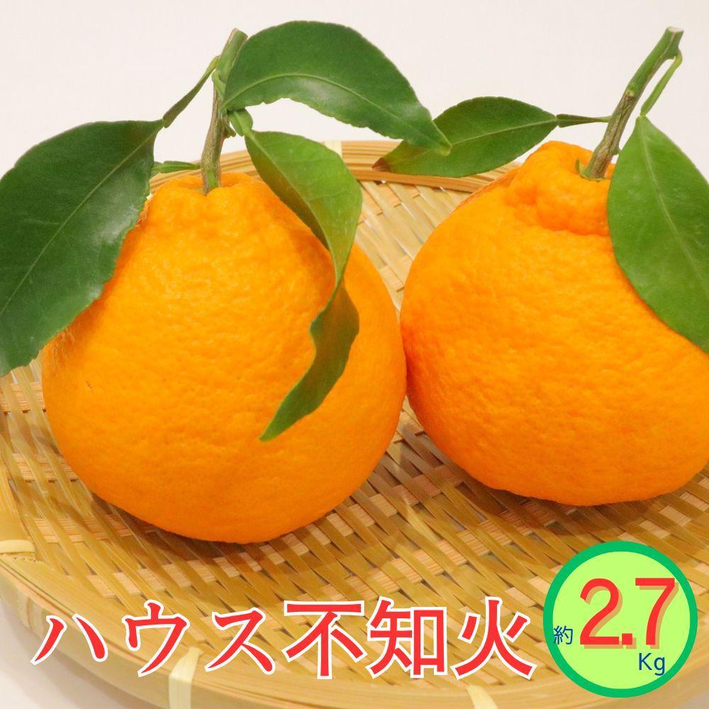 ハウス不知火　約2.7kg | フルーツ 果物 くだもの 食品 人気 おすすめ 送料無料
