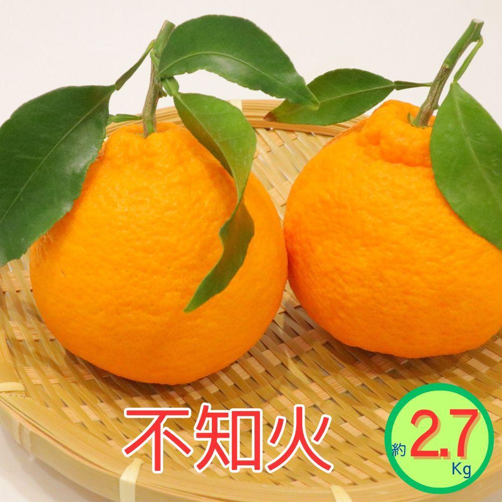 ＜先行受付　2026年発送＞不知火　約2.7kg | フルーツ 果物 くだもの 食品 人気 おすすめ 送料無料