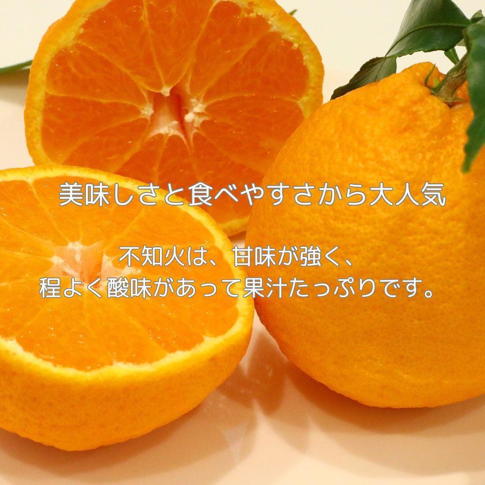 【ふるさと納税】＜先行受付　2026年発送＞不知火　約2.7kg | フルーツ 果物 くだもの 食品 人気 おすすめ 送料無料 サムネイル2