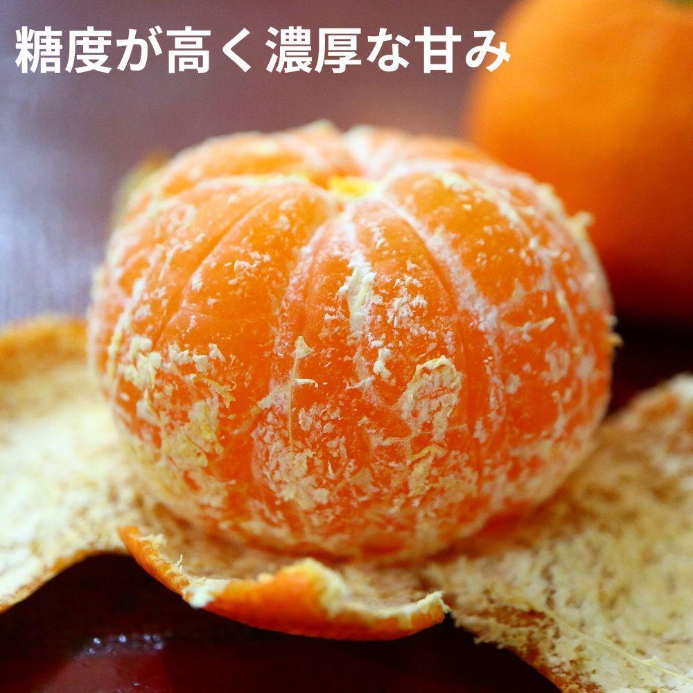 【ふるさと納税】小原紅早生みかん（露地）約3.0kg | フルーツ 果物 くだもの 食品 人気 おすすめ 送料無料 サムネイル2