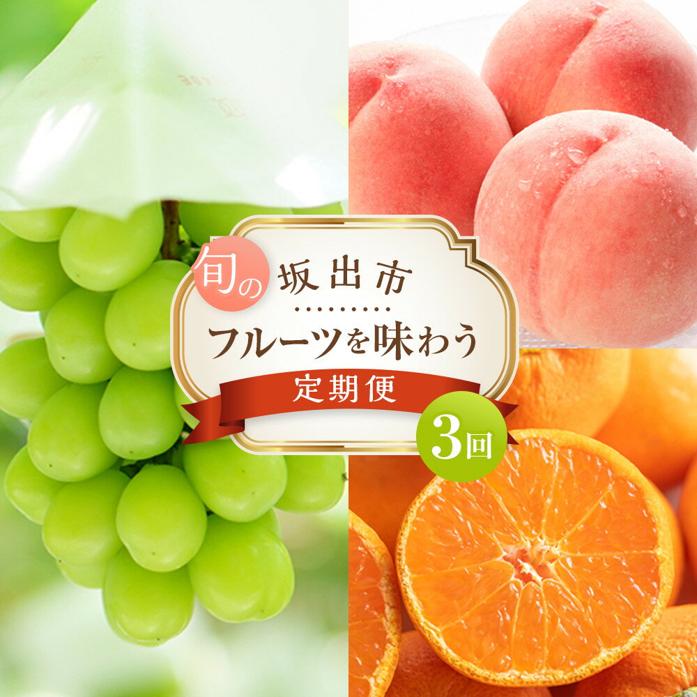 坂出市 旬のフルーツを味わう3回 定期便