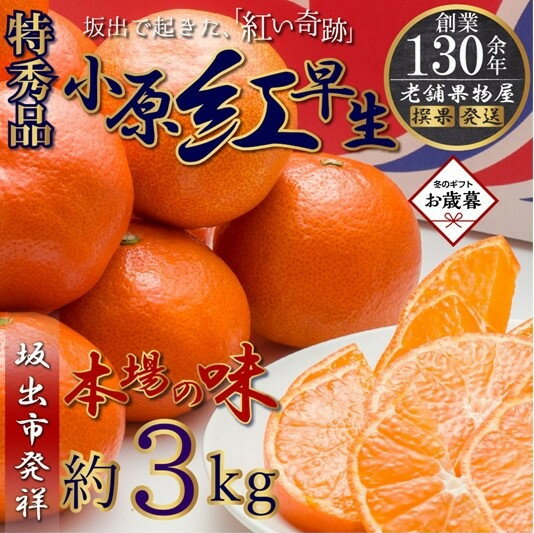 【お歳暮ギフト/熨斗対応】特秀品！小原紅早生みかん　約3kg【坂出発祥の真っ紅なお蜜柑】