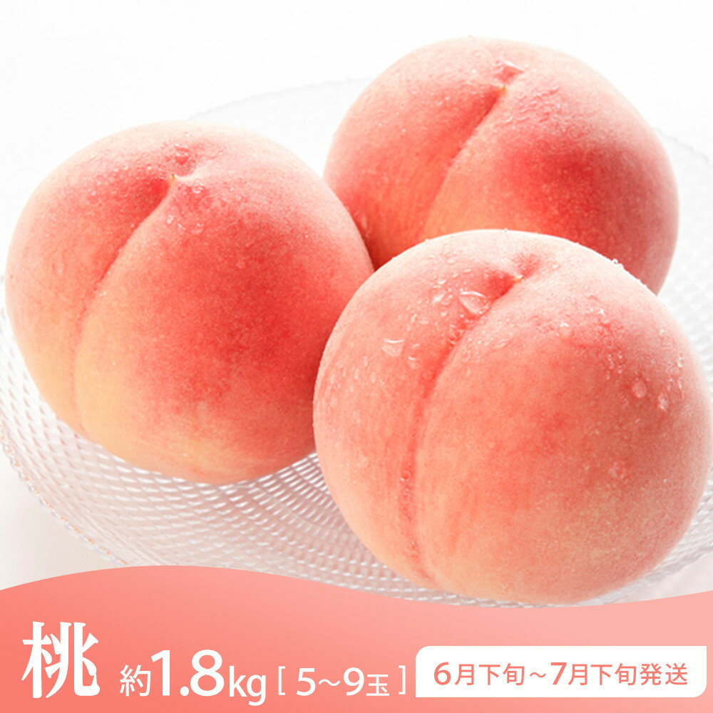 【ふるさと納税】坂出市 旬のフルーツを味わう3回 定期便 サムネイル2