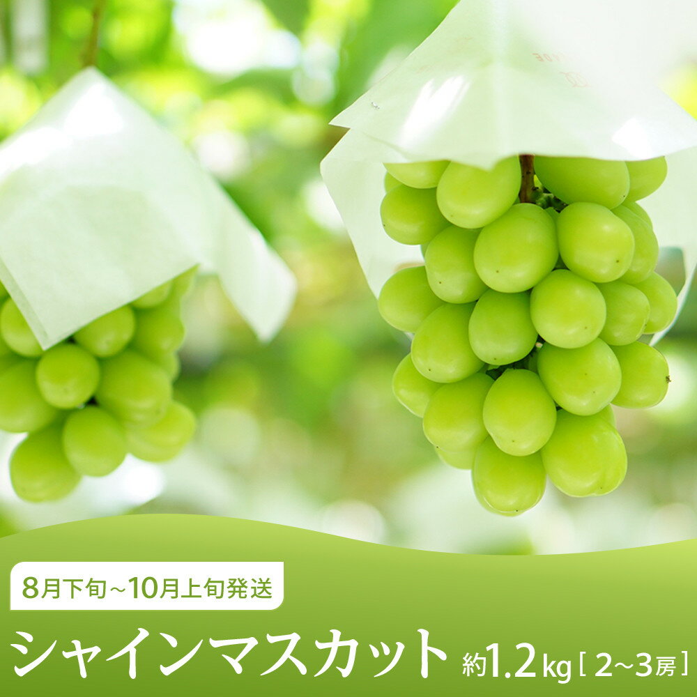 【ふるさと納税】坂出市 旬のフルーツを味わう3回 定期便 サムネイル3