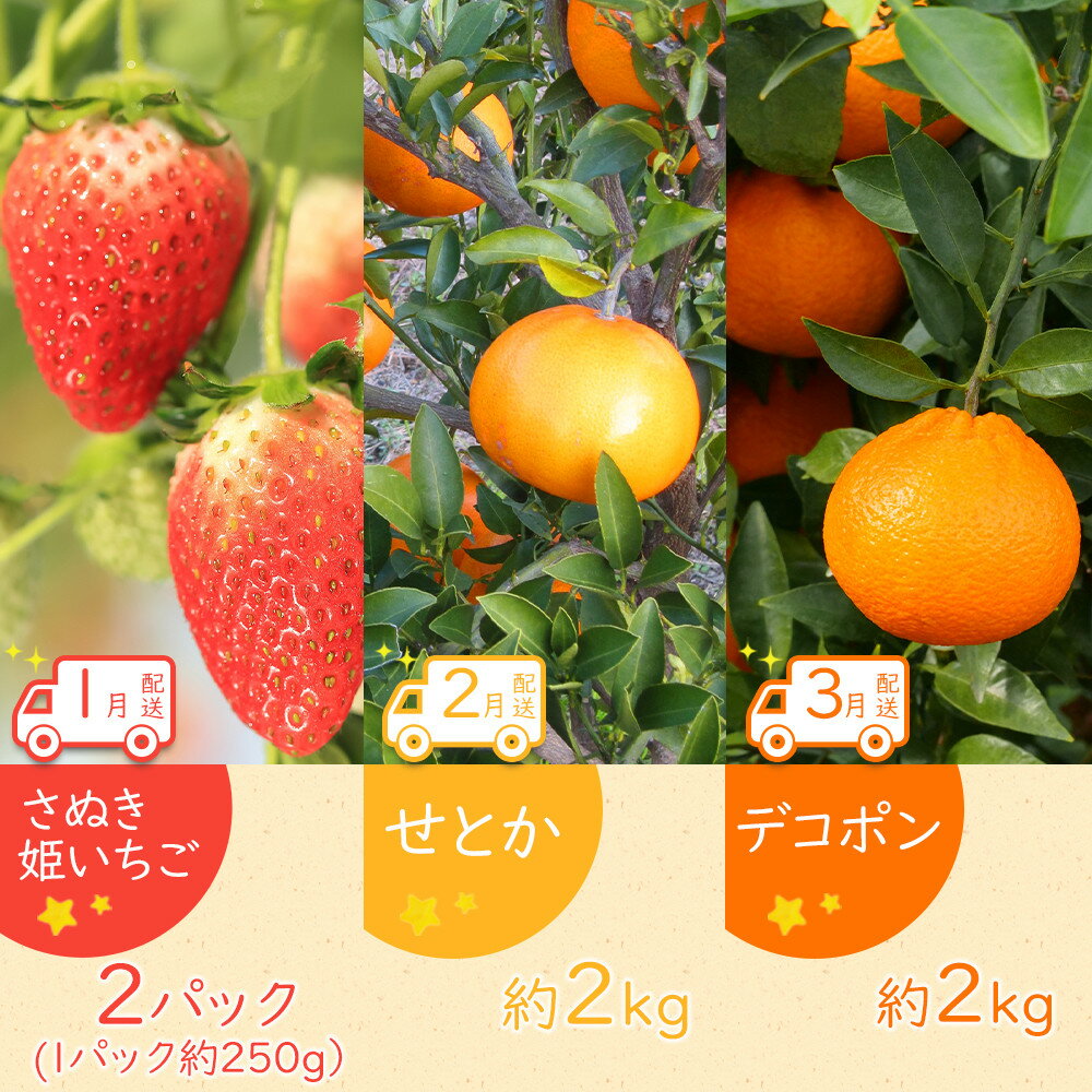 【ふるさと納税】【全12回】坂出市四季のオススメ！旬果実単品定期便♪ サムネイル2