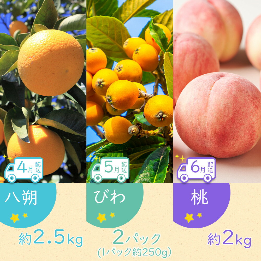 【ふるさと納税】【全12回】坂出市四季のオススメ！旬果実単品定期便♪ サムネイル3