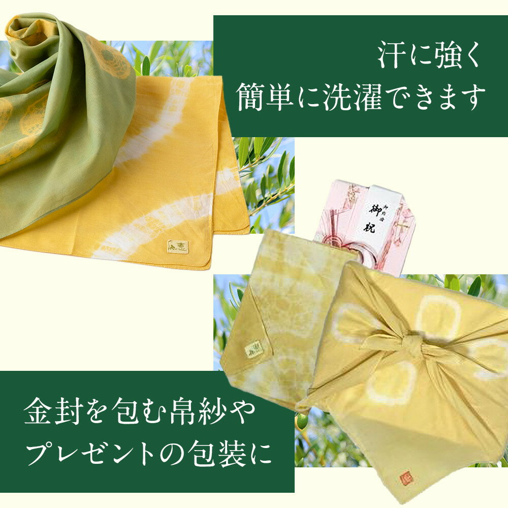 【ふるさと納税】オリーブ染めプチスカーフ | 雑貨 小物 ファッション 人気 おすすめ 送料無料 サムネイル3