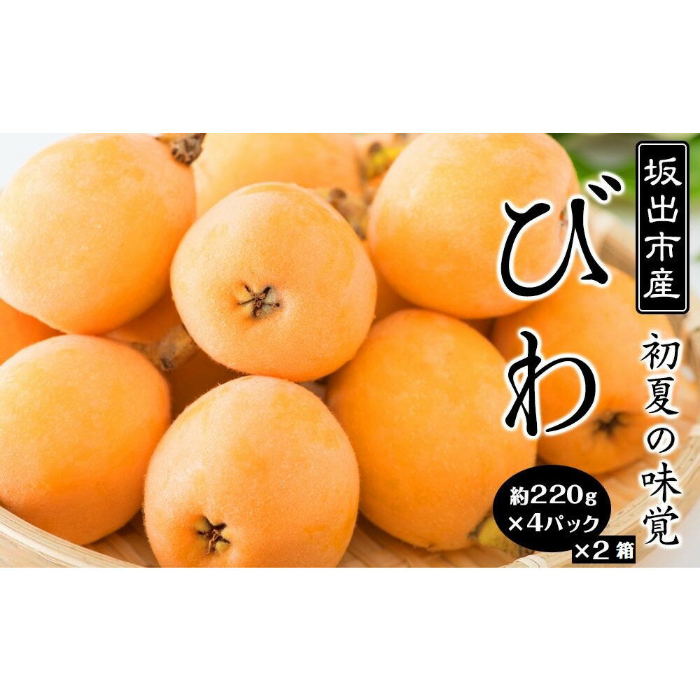 びわ 坂出市産 約1.8kg ( 4パック× 2箱 )｜初夏の味覚 | フルーツ 果物 くだもの 食品 人気 おすすめ 送料無料