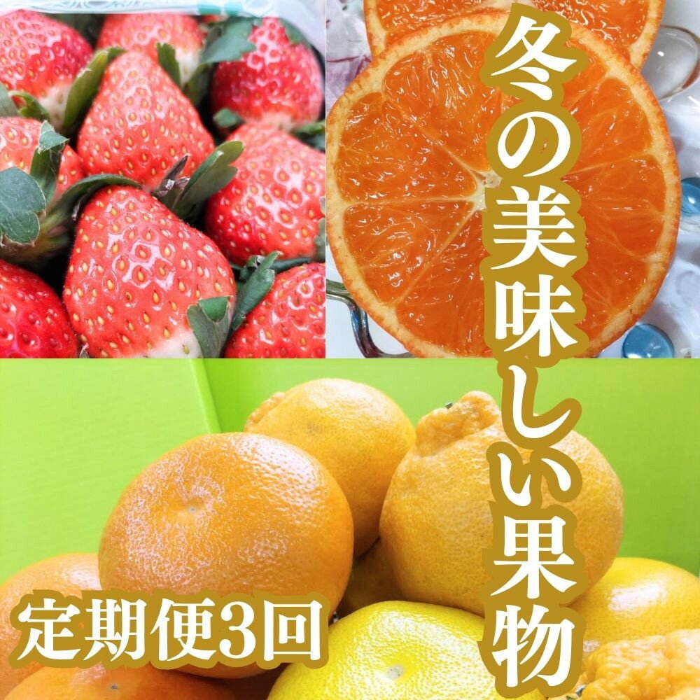 【定期便全3回】冬の美味しい果物