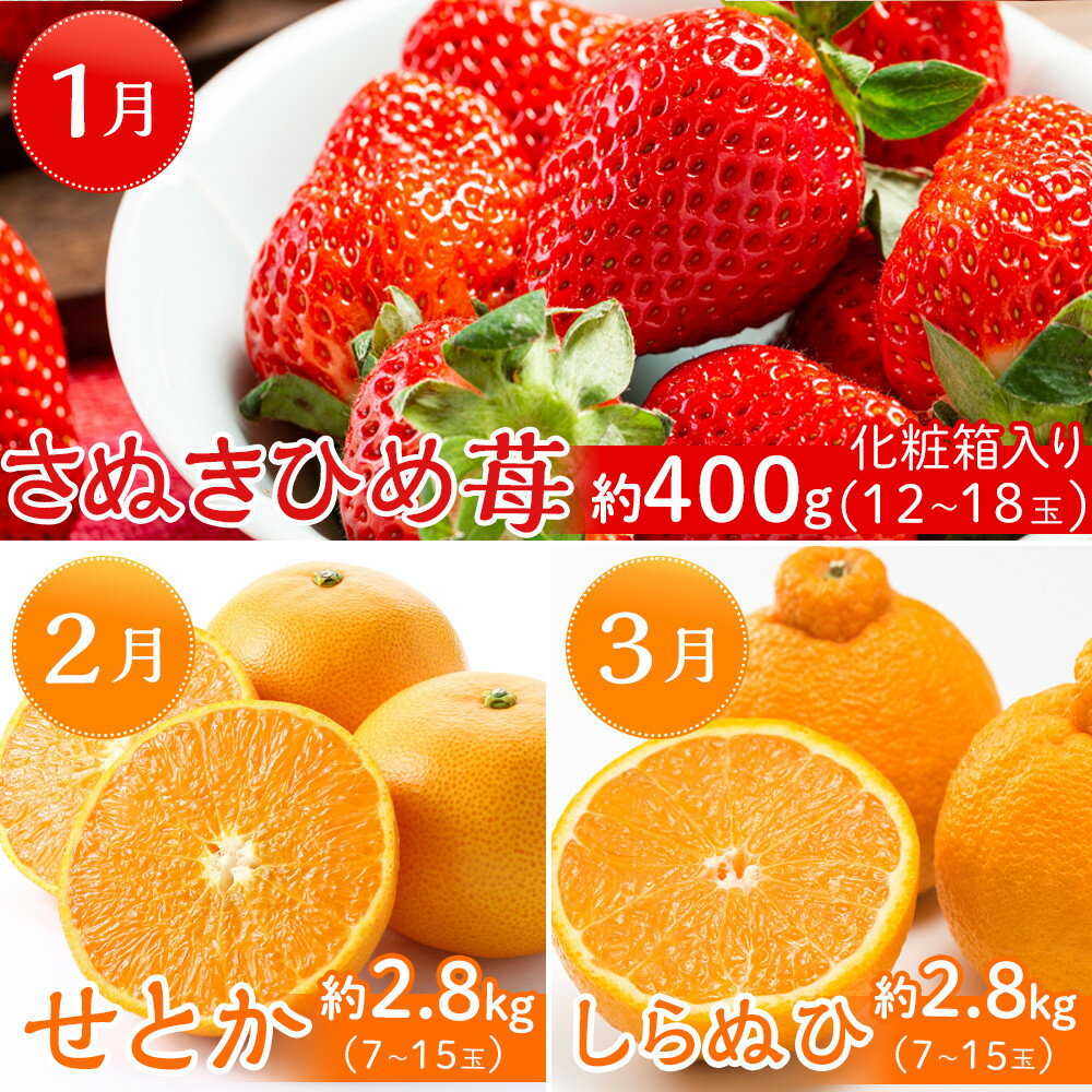 【ふるさと納税】坂出市「旬のフルーツを味わう12回」定期便 サムネイル2