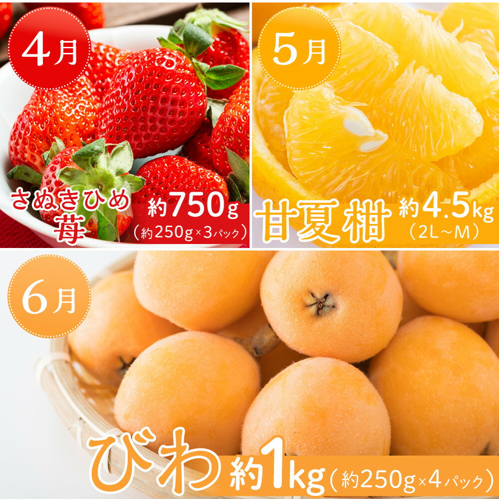 【ふるさと納税】坂出市「旬のフルーツを味わう12回」定期便 サムネイル3