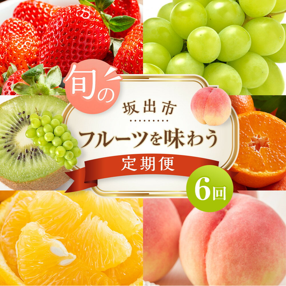 坂出市「旬のフルーツを味わう6回」定期便 【発送月：2月・4月・7月・9月・11月・12月】